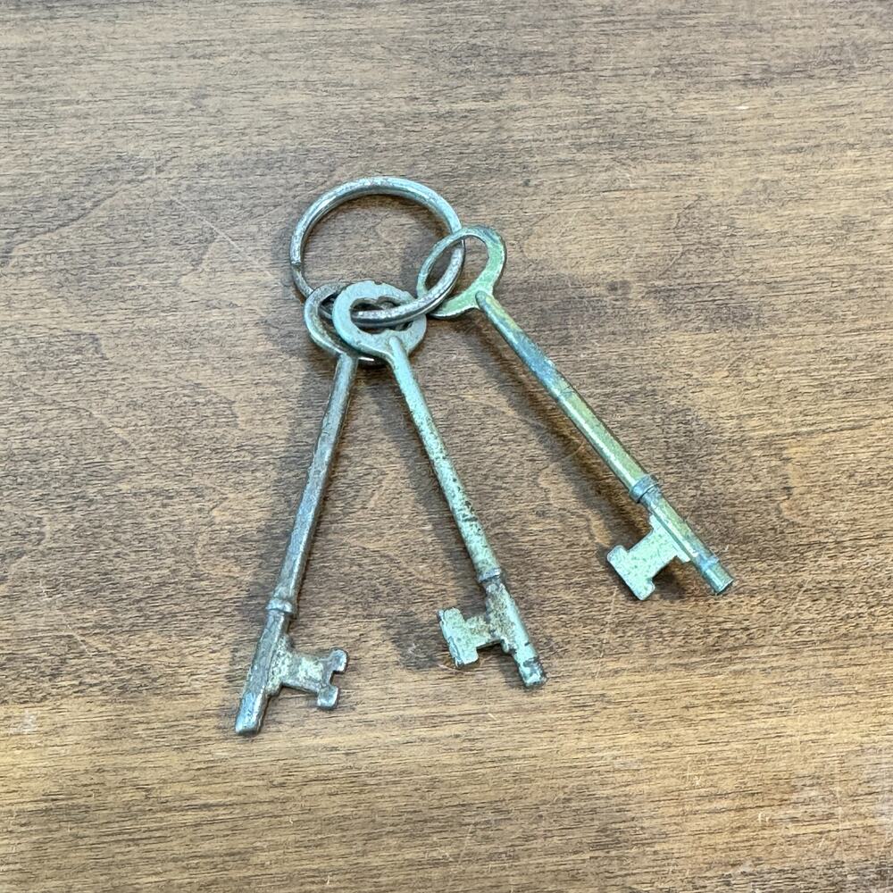 Vintage Antique Skeleton Keys Lot of 3 on Ring Old Bit Keys